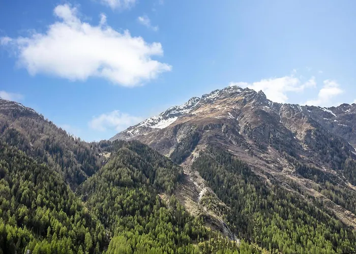 Schweizerhof Melisse フーベン